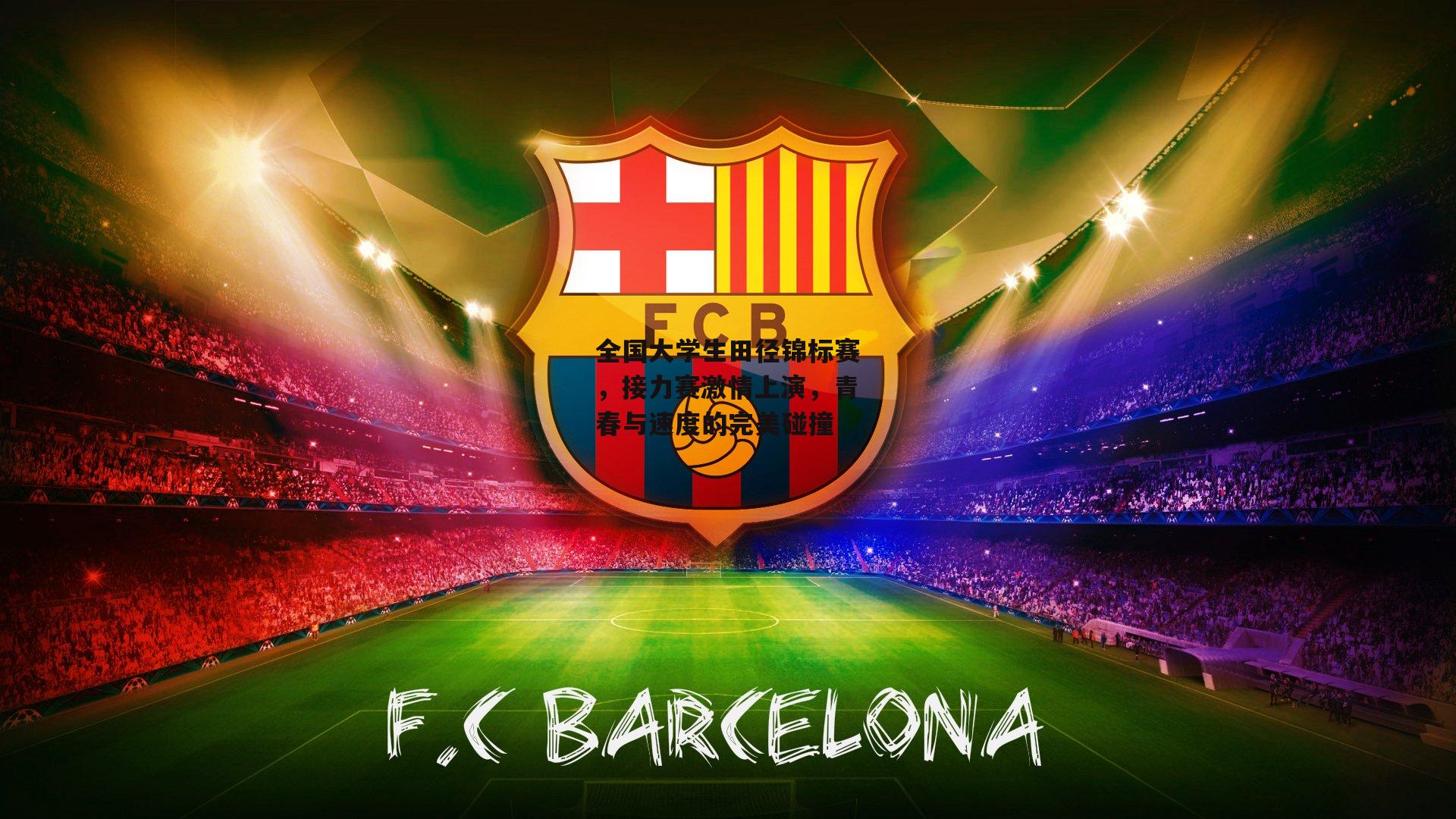 全国大学生田径锦标赛,接力赛激情上演,青春与速度的完美碰撞