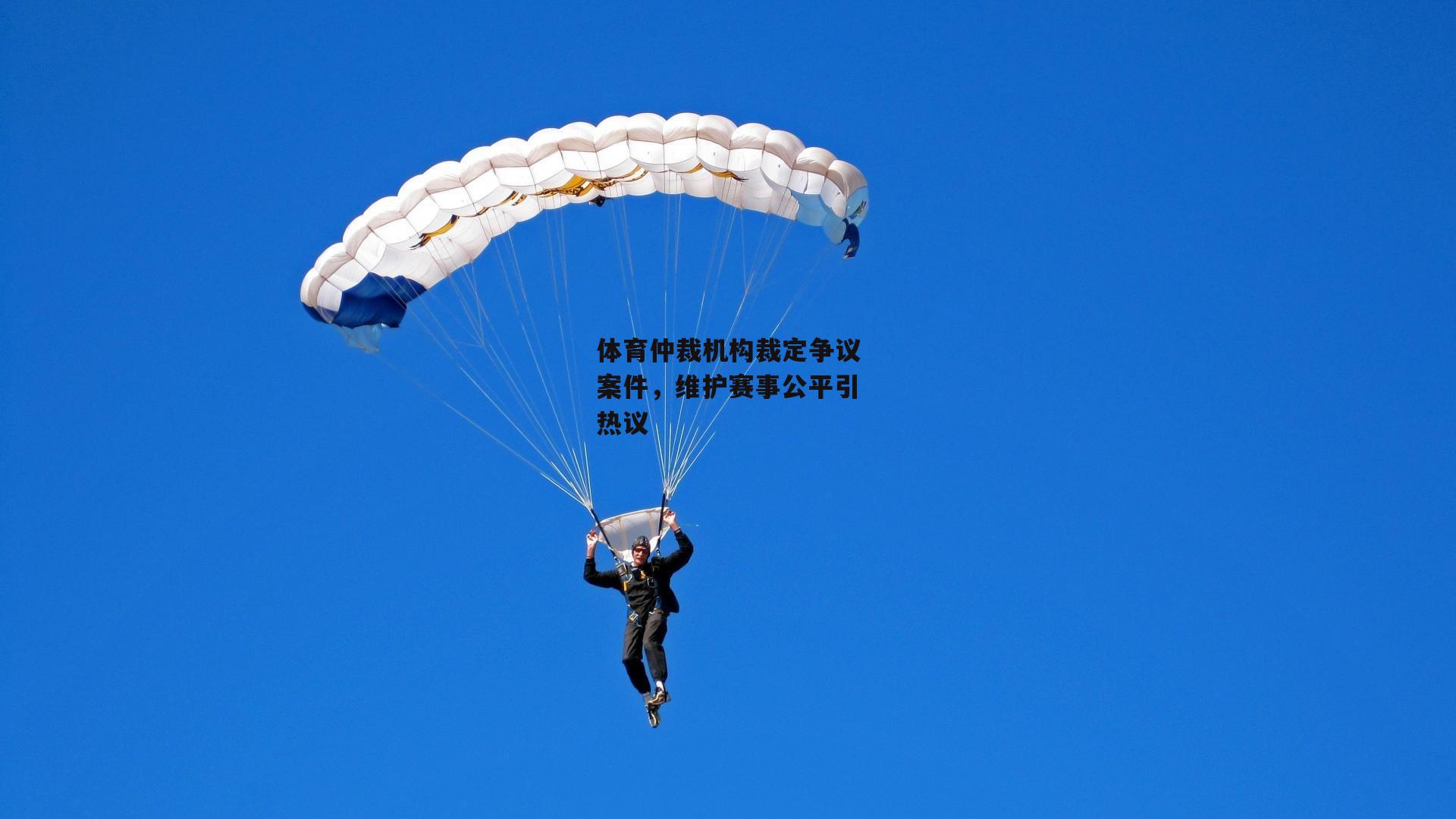 体育仲裁机构裁定争议案件,维护赛事公平引热议