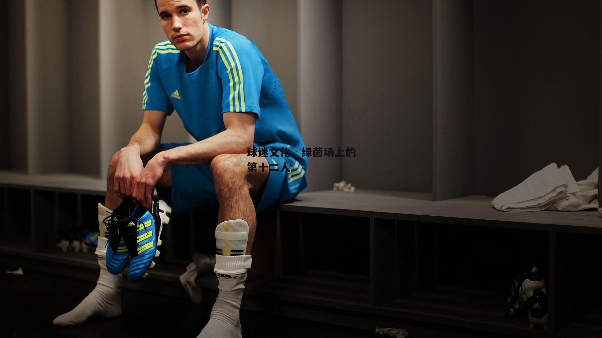 球迷文化，绿茵场上的第十二人